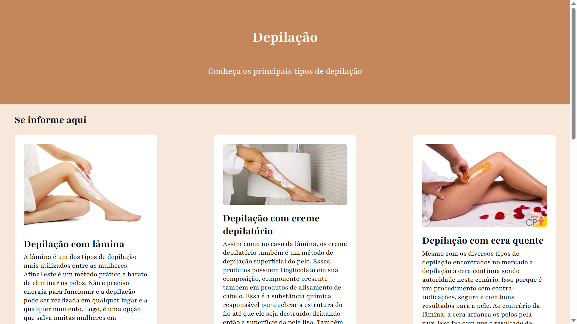 Imagem representativa do projeto de uma biblioteca online